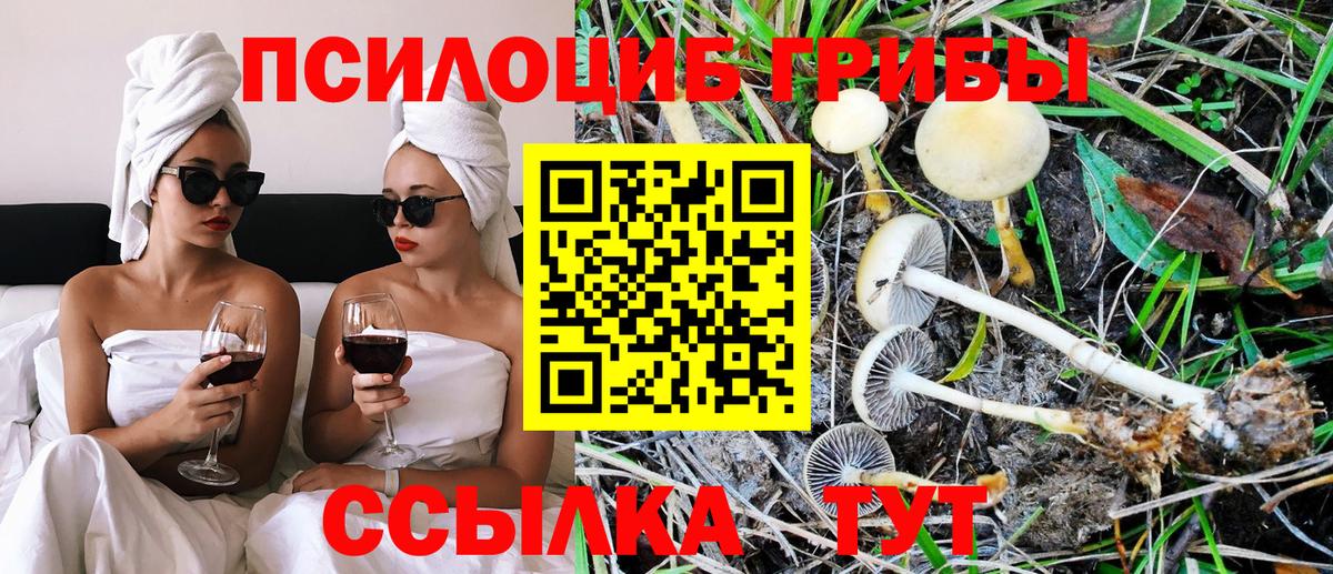 Галлюциногенные грибы Psilocybe  Вход с VPN  Псилоцибиновые грибы Cubensis  Вышний Волочёк 